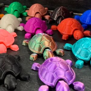 Western Swamp Tortoise